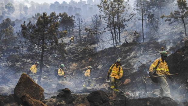 Guillena tendrá un simulacro de incendio forestal este lunes para verificar el servicio