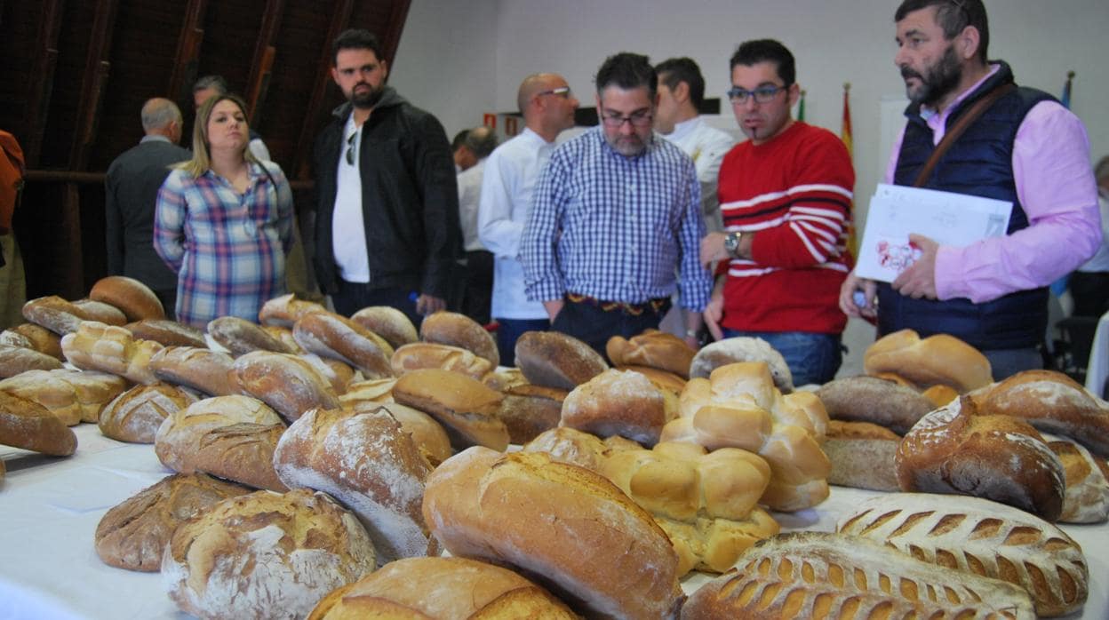 Panaderos de distintos puntos de Andalucía han llevado a Alcalá sus productos para someterlos a examen