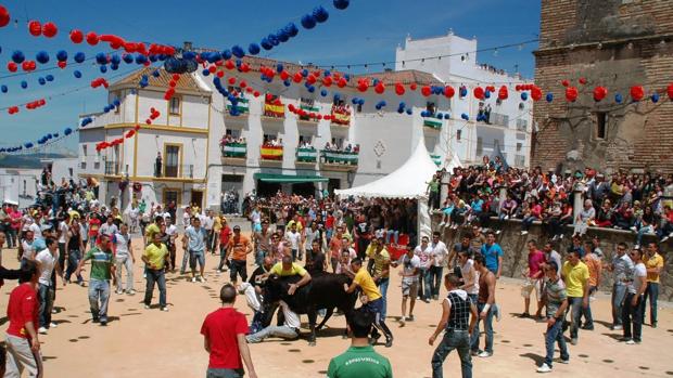 Alcalá de los Gazules celebra San Jorge 2019 con la tradicional suelta de vaquillas