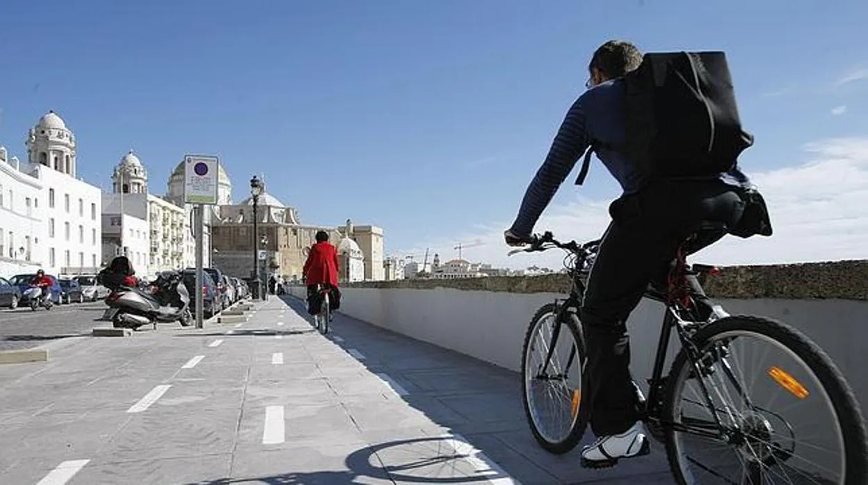 El carril bici, el proyecto estrella del actual Ayuntamiento de Cádiz.