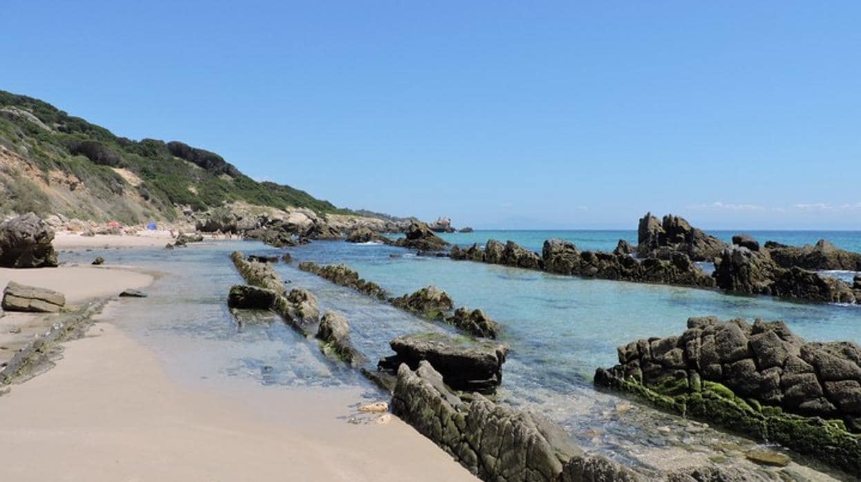 Seis maravillas de Cádiz que merecen ser declaradas monumento natural de Andalucía