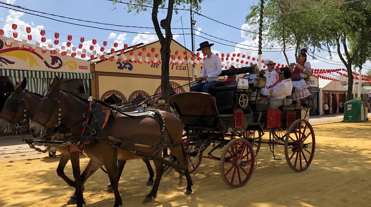 El paseo de caballos va en aumento y podrá disfrutarse cada día hasta las 20.00 horas