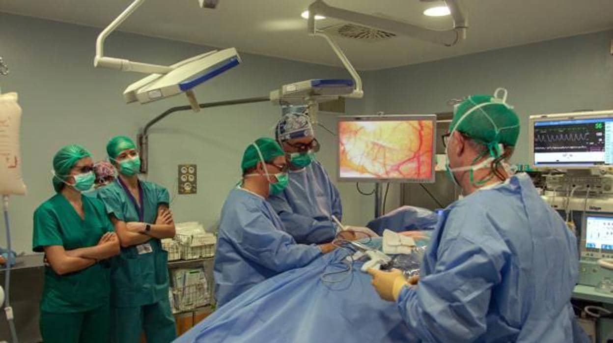 La donación de órganos sigue aumentando en Andalucía.