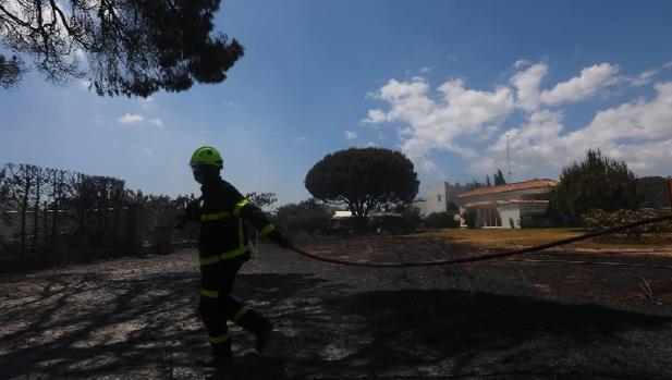 El incendio del Pinar de Roche, sofocado