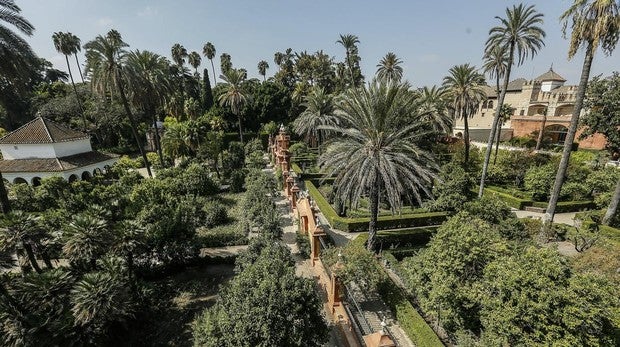 Jardines de Sevilla, ramillete de sombras verdes para combatir el verano