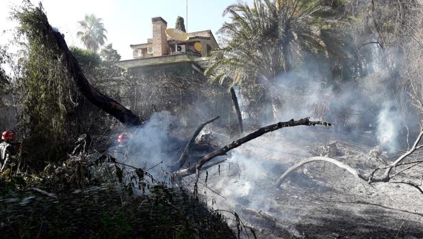 Un nuevo incendio en Simón Verde