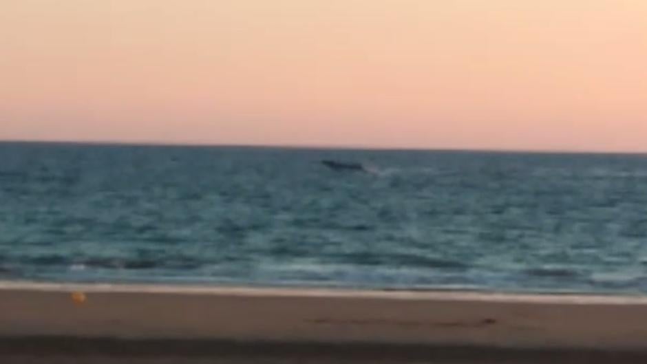 VÍDEO: Una narcolancha se da a la fuga en la playa de Cádiz capital