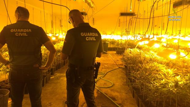 Descubren dos invernaderos de alto rendimiento con 1.800 plantas de cannabis en Salteras y Espartinas