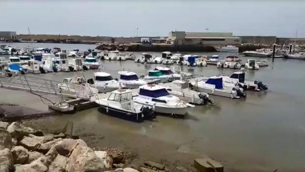 El supuesto tsunami de Conil, hora a hora: así se difunde un bulo en redes sociales