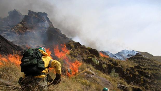 Un incendio de Vejer obliga al desalojo preventivo de cinco viviendas