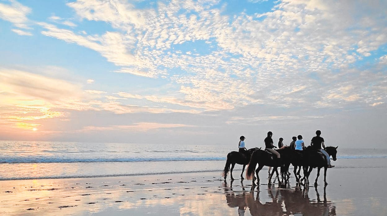 Sol, mar, arena y equitación: 6 lugares para montar a caballo en la provincia de Cádiz