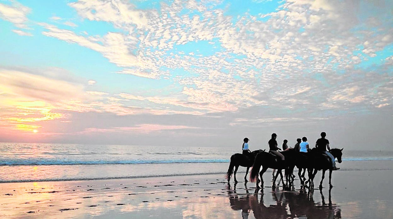 Sol, mar, arena y equitación: 6 lugares para montar a caballo en la provincia de Cádiz