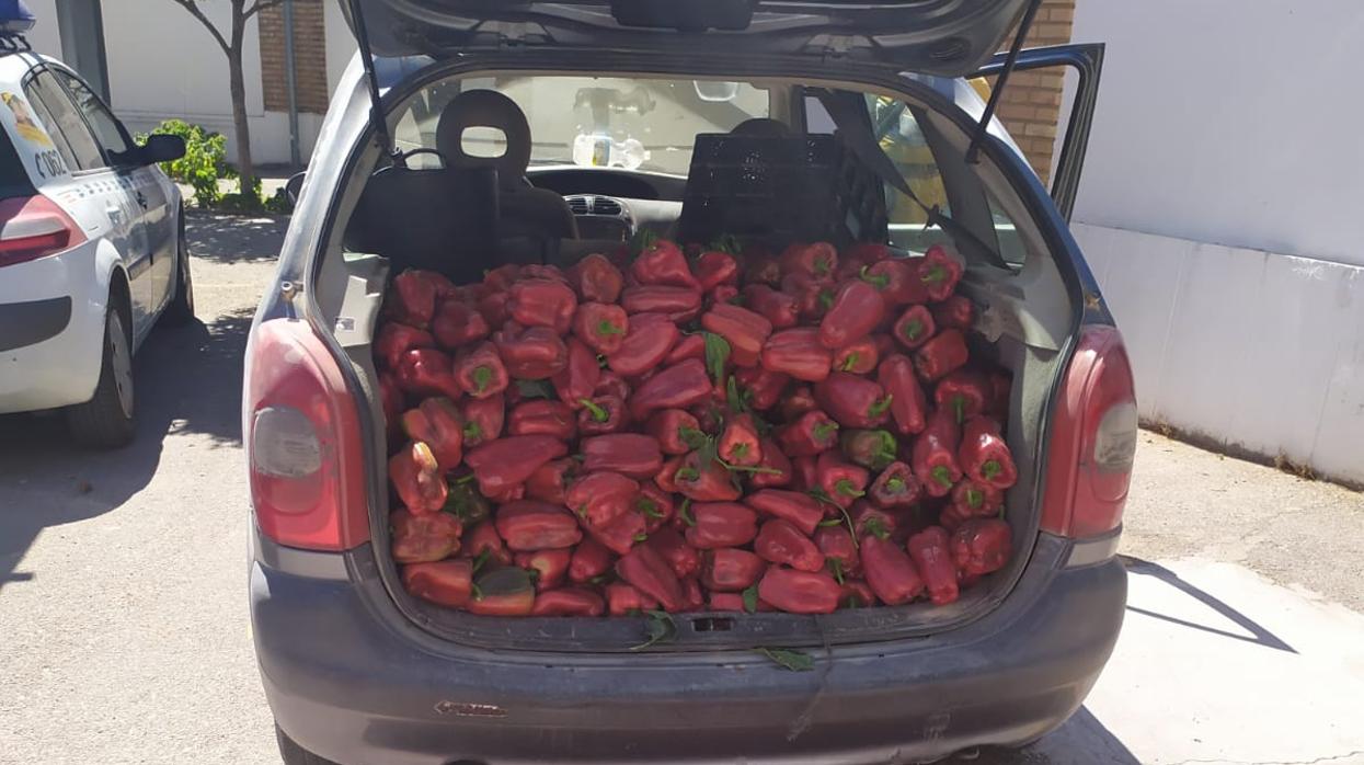 Coche intervenido con 200 kilos de pimientos rojos por la Guardia Civil de Utrera