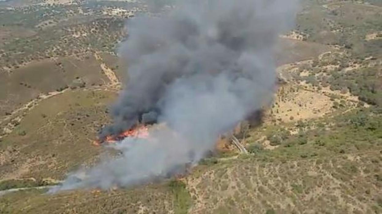 Controlado el incendio forestal de El Madroño que ha afectado a 245 hectáreas