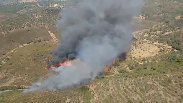 Controlado el incendio forestal de El Madroño que ha afectado a 245 hectáreas