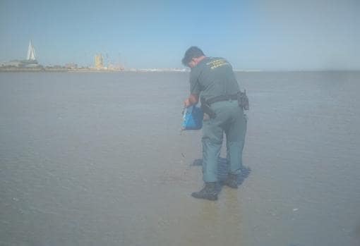 Intervienen 100 kilos de pescados y mariscos  capturados ilegalmente en la Bahía de Cádiz