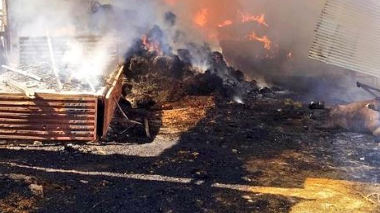 Un incendio en una nave del Aljarafe provoca la muerte de un caballo