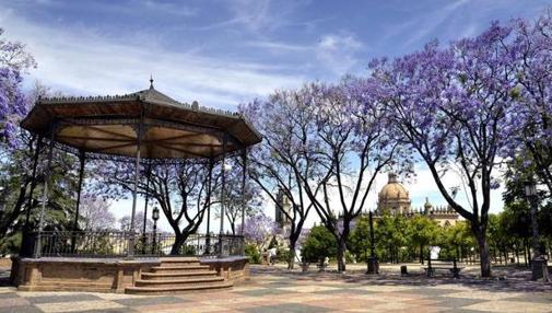 Jerez hay un recorrido para conocer la arboleda de la ciudad y sus espacios verdes