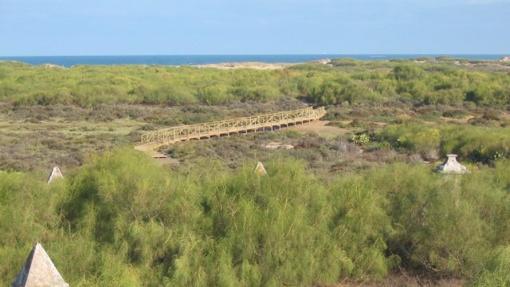 Imagen del sendero que va a la Punta del Boquerón en San Fernando