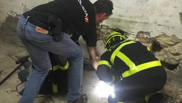 Detenidos en Sanlúcar dos hombres de 64 y 62 años por cultivar 180 plantas de cannabis sativa