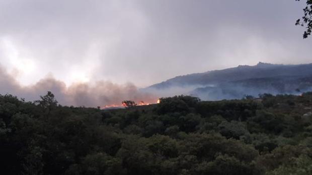 Declarado un incendio forestal en Tarifa