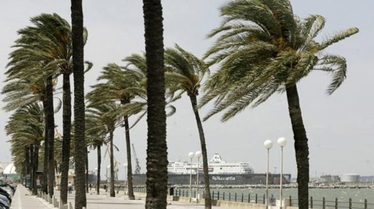 Continúa el levante en Cádiz y se activa la alerta amarilla en el Estrecho por vientos de hasta 80km/h
