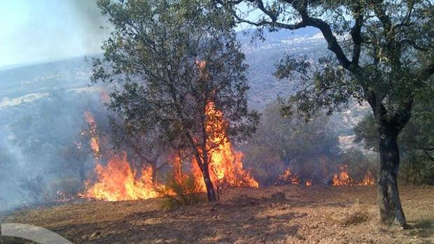 El entorno del incendio de El Ronquillo es declarado «de alto valor natural» según su alcalde