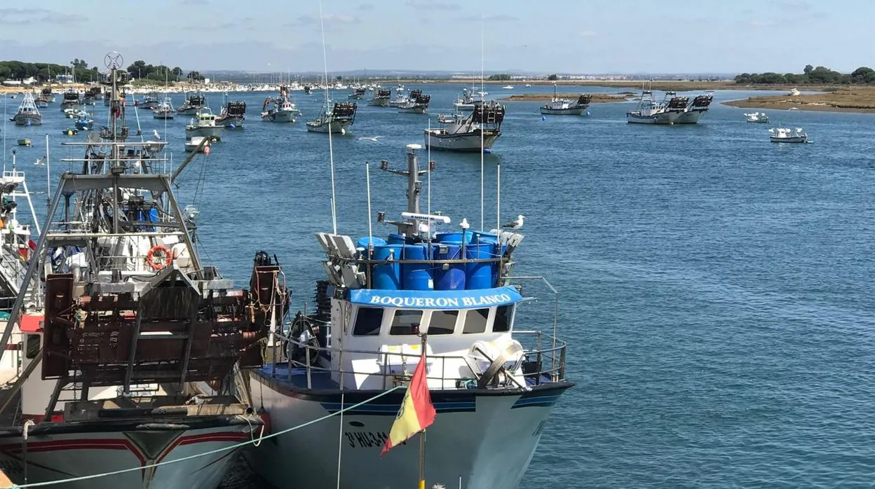 Más de cien embarcaciones están afectadas por este paro biológico en el Golfo de Cádiz.