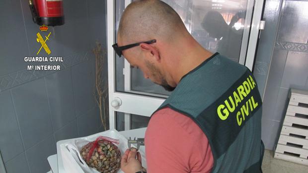 La Guardia Civil interviene pescado ilegal procedente de Isla Cristina en un restaurante de Santiponce