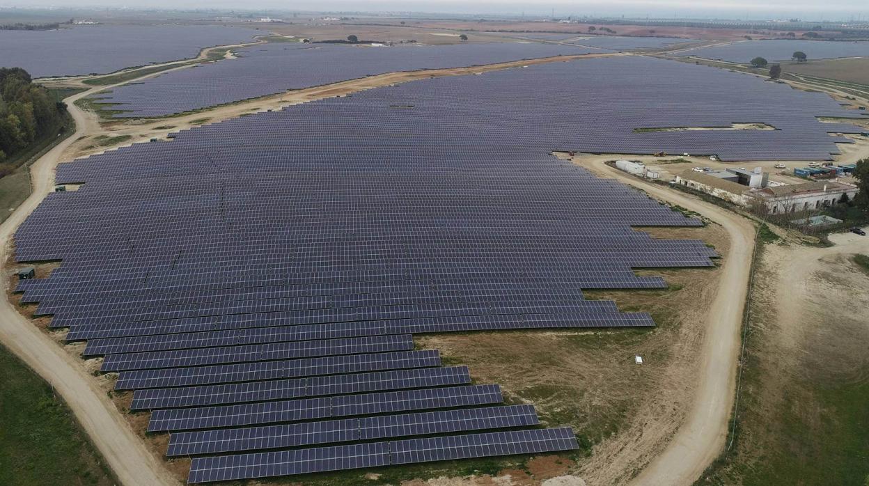 La planta solar de Don Rodrigo cuenta con 500.000 paneles solares y 3.000 kilómetros de cableado