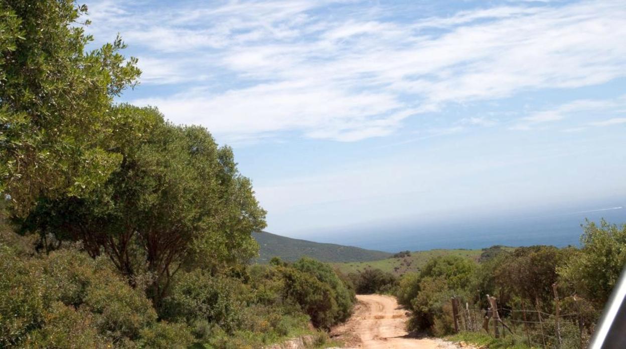 Imagen del Cerro del Tambor.