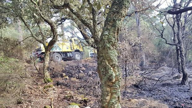 Estabilizado un incendio forestal en Tarifa