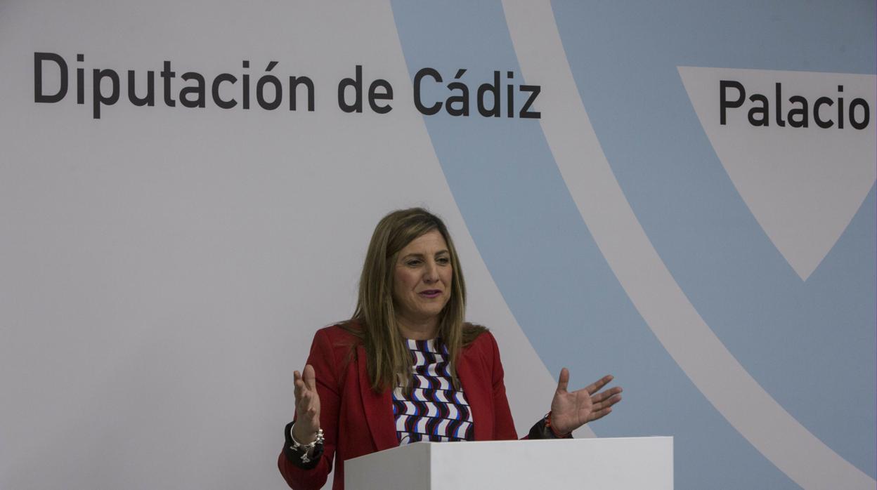 Irene García es la presidenta de la Diputación provincial.