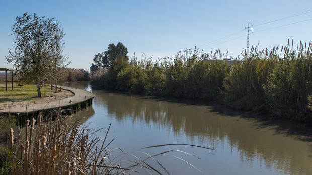 Absuelto un vecino de Isla Mayor acusado de alijar varios fardos de hachís del río Guadalquivir