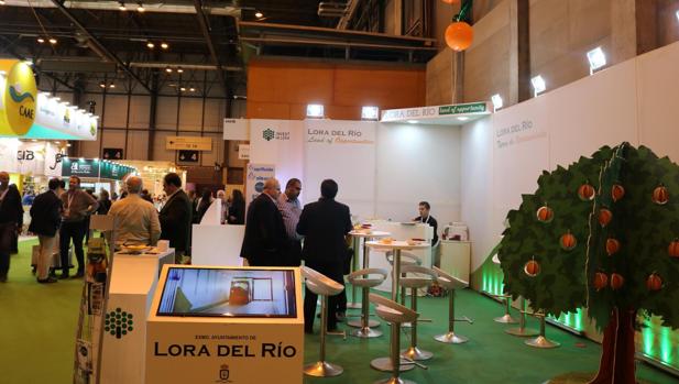 El Ayuntamiento de Lora del Río será el único de España presente en la XI Feria «Fruit Attraction»