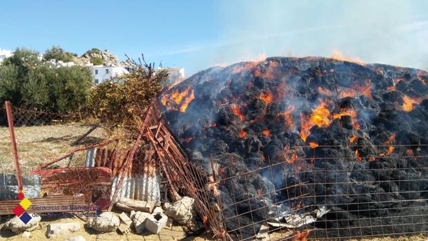 Aparatoso incendio en un pajar en la Sierra de Cádiz