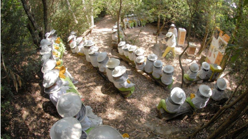 Instalaciones de Rancho Cortesano en Jerez