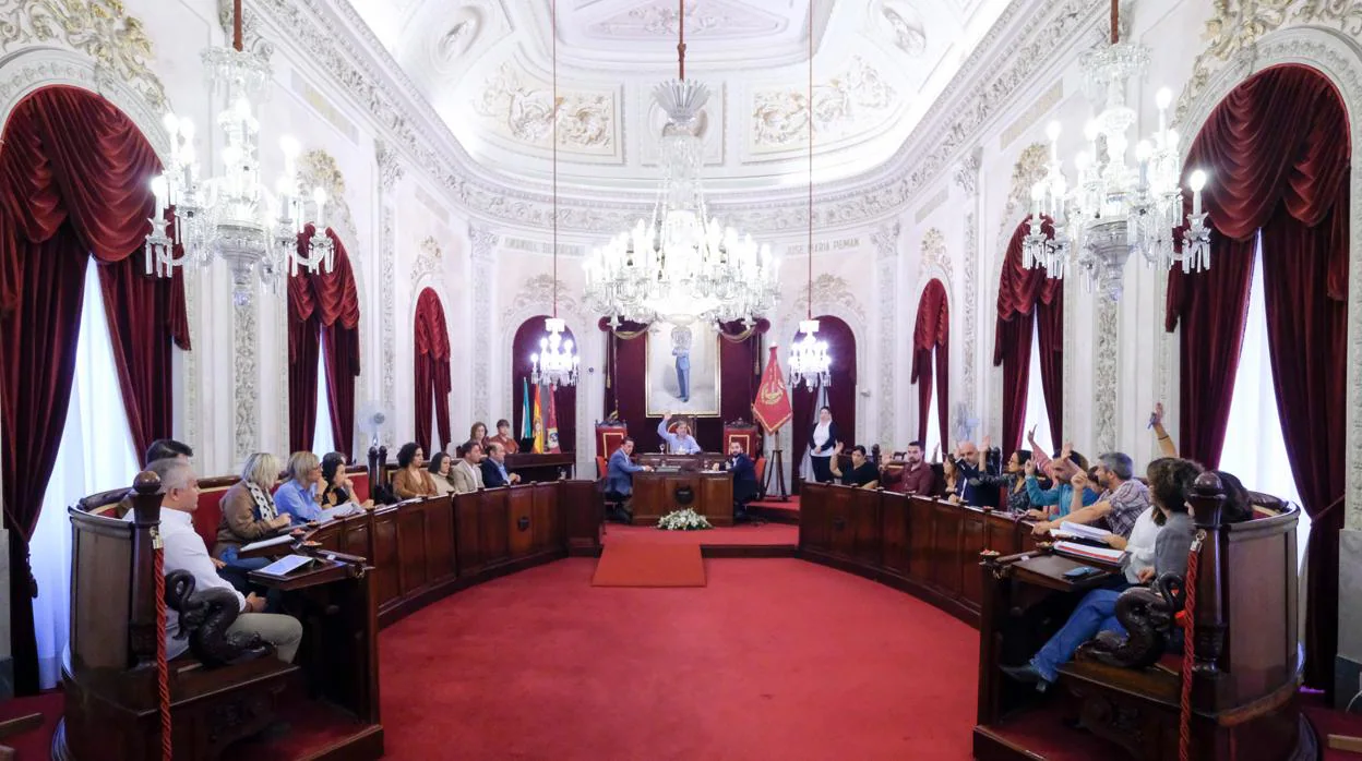 La Junta General de Cádiz 2012 nombra presidente a David Navarro
