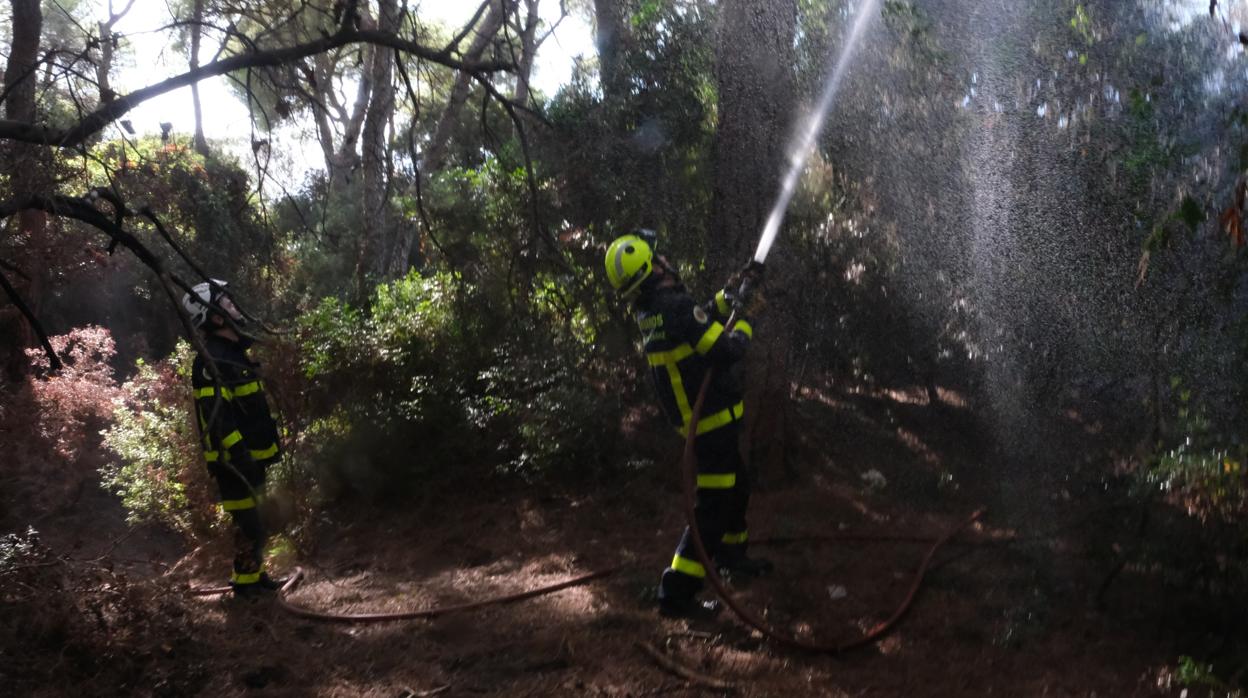 Incendio el Parque Natural de Las Canteras en Puerto Real