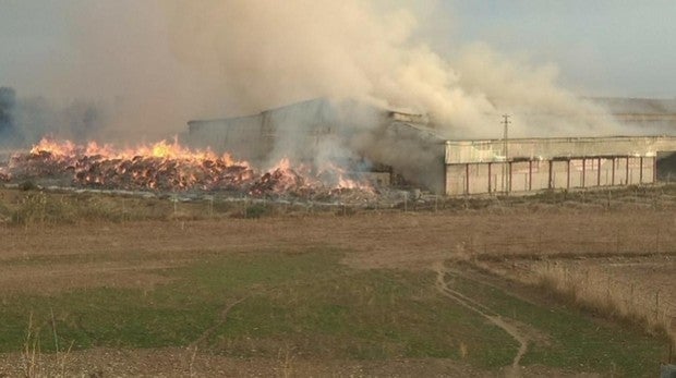 Bomberos trabajan en un incendio cerca de una nave de algodón en Écija