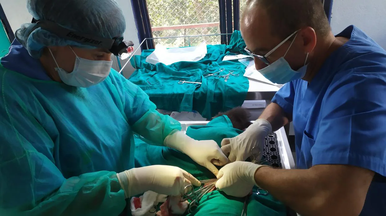 Antonio Váquez (izquierda), mientras realiza una operación a un perro junto con una compañera en Katmandú