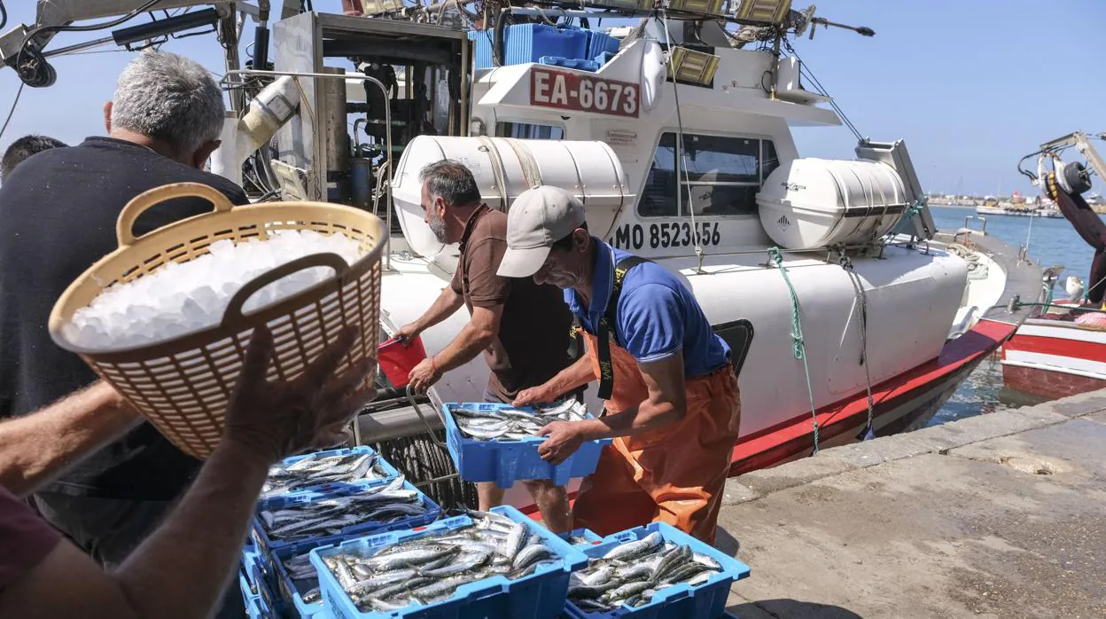 Dos millones a pescadores afectados por la parada en el Golfo de Cádiz