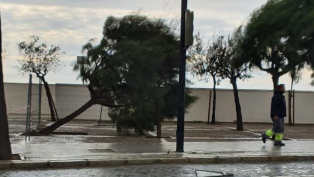 La fuerza de la borrasca Daniel se deja sentir en Cádiz con incidentes por viento