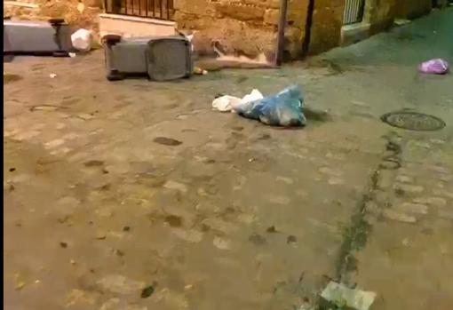 Detenido tras causar destrozos en el Pópulo en Nochevieja y después orinar en la puerta de Comisaría