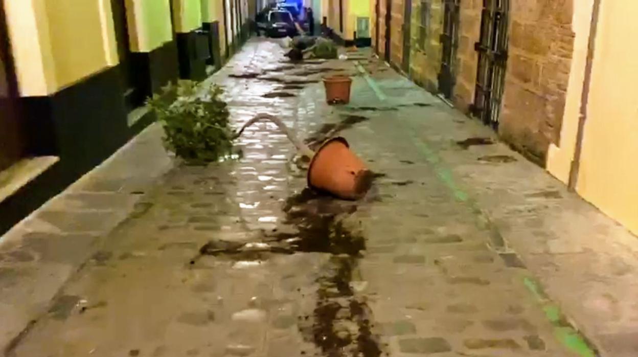 Imagen de los destrozos que presuntamente causó este joven en las calles del Pópulo.