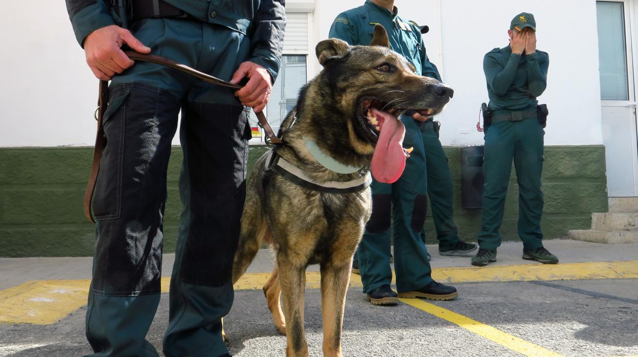 Agentes de la Guardia Civil de la Unidad Canina