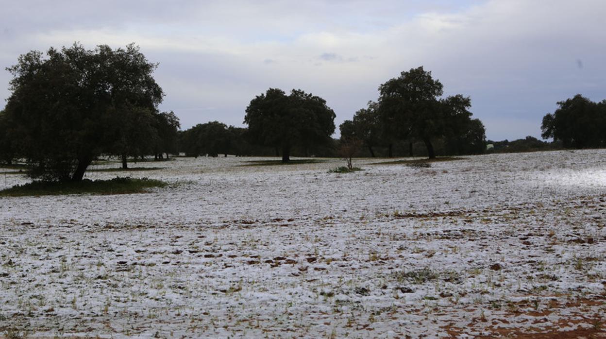 Nieve en la Sierra de Cádiz.