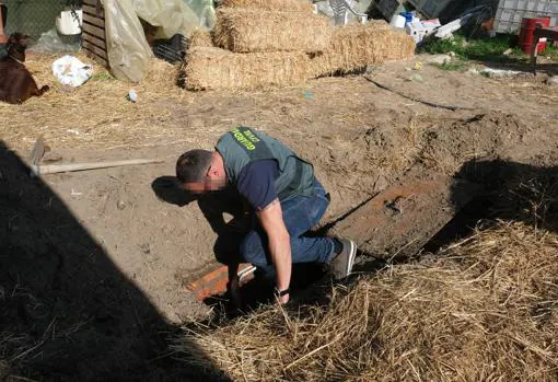 Vídeo: Escondía una tonelada de hachís en un zulo cavado en una cuadra en Sanlúcar