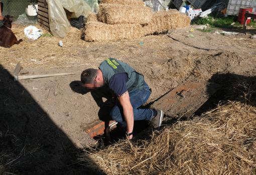 Vídeo: Escondía una tonelada de hachís en un zulo cavado en una cuadra en Sanlúcar