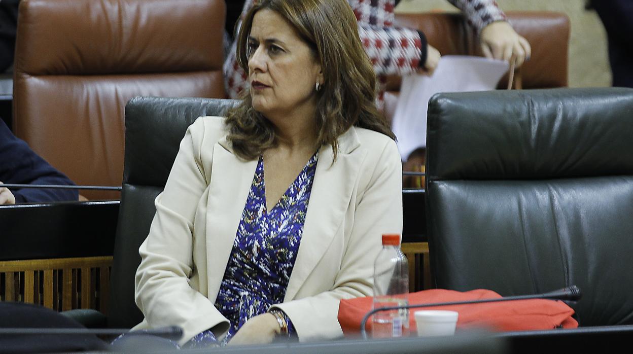 La secretaria de Organización del PSOE de Sevilla, Sonia Gaya, en el Parlamento de Andalucía